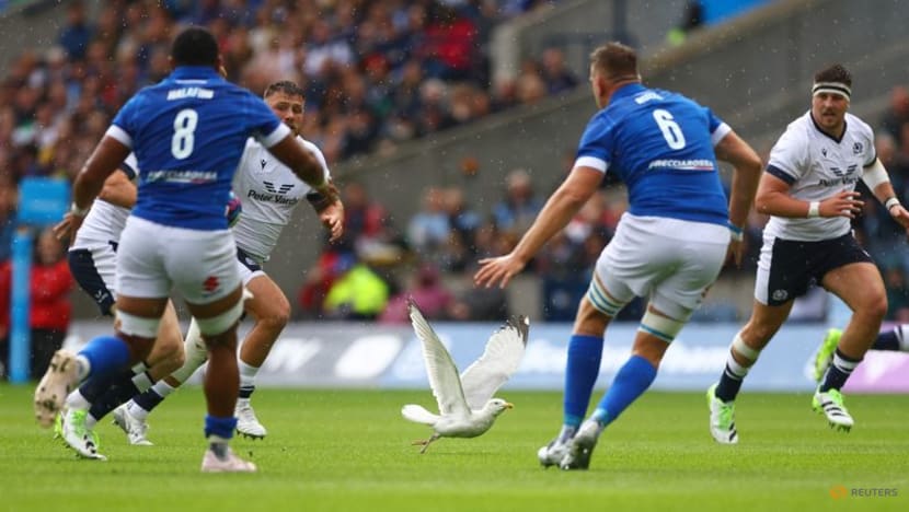 Scotland enjoy winning start to World Cup warm-up programme