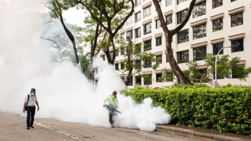 Commentary: Record dengue cases complicates Singapore's fight against COVID-19