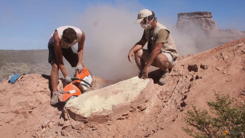 Remains of small armour-plated dinosaur unearthed in Argentina Remains of small armour-plated dinosaur unearthed in Argentina