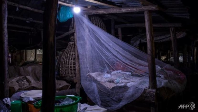 WHO warns malaria deaths could double during COVID-19 pandemic