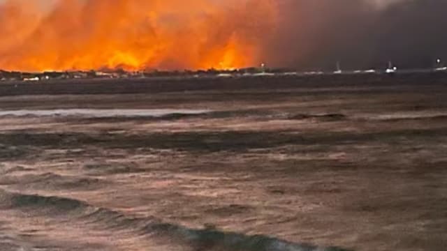 夏威夷林火死亡人数增至80人 成历来最致命自然灾害