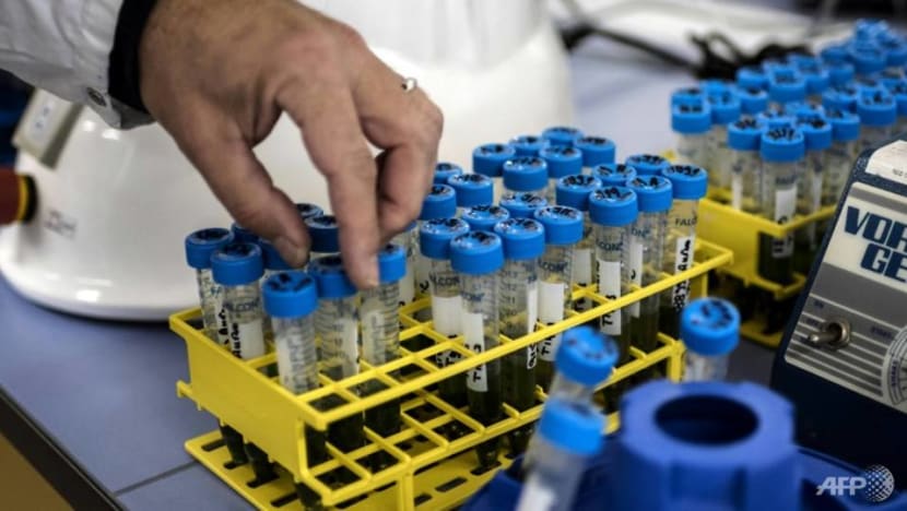 2019: The year gene therapy came of age 2019: The year gene therapy came of age
