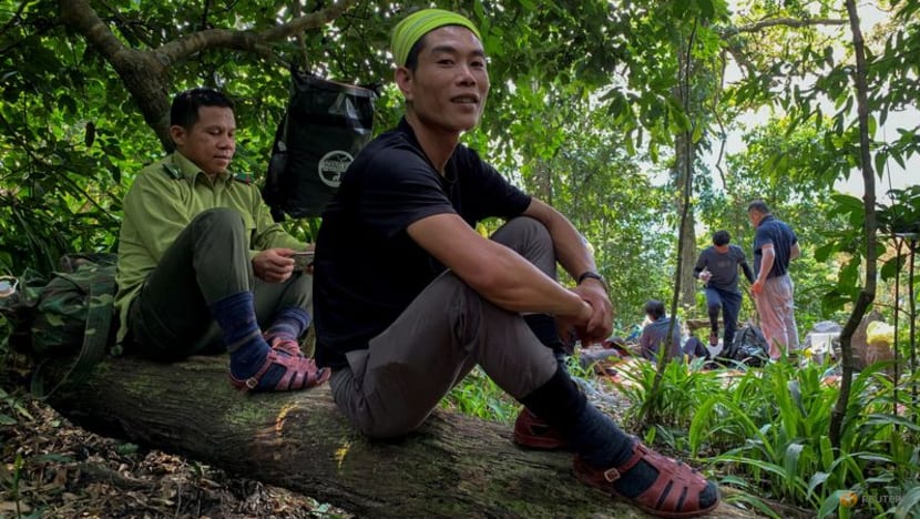 Illegal loggers in Vietnam train as jungle tour guides