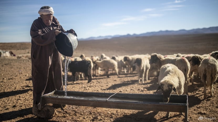 Climate change threatens centuries-old oases in Morocco Climate change threatens centuries-old oases in Morocco