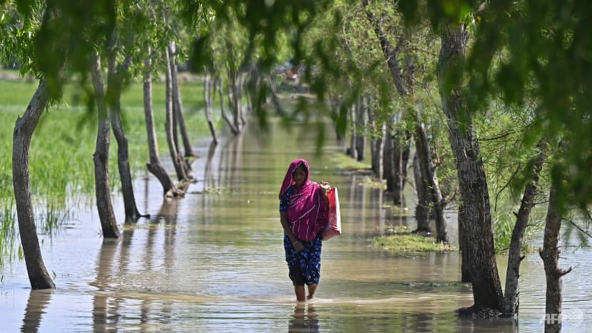 24 dead, million seek shelter as Cyclone Sitrang hits Bangladesh 24 dead, million seek shelter as Cyclone Sitrang hits Bangladesh