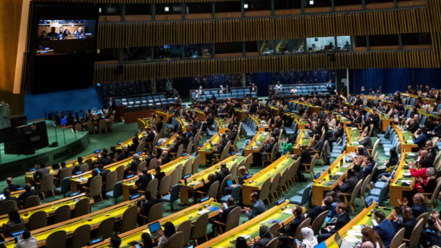 联合国大会以多数票支持巴勒斯坦加入联合国
