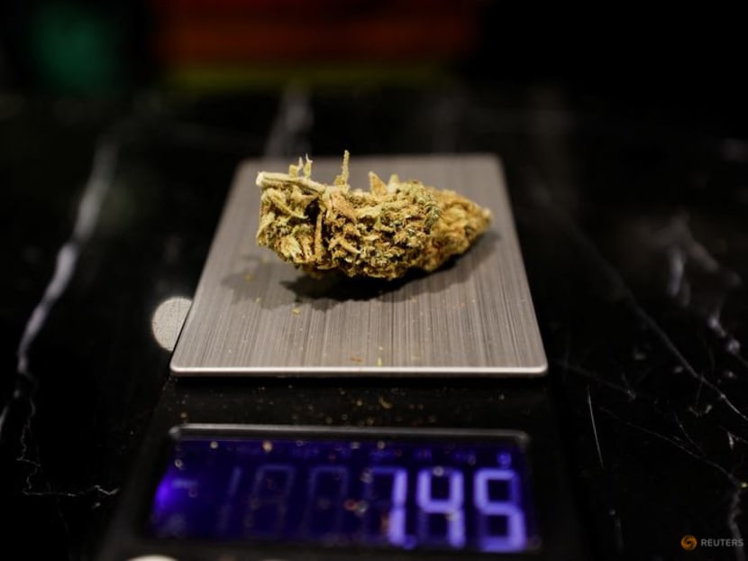APEC host Thailand's budding marijuana industry faces backlash APEC host Thailand's budding marijuana industry faces backlash
