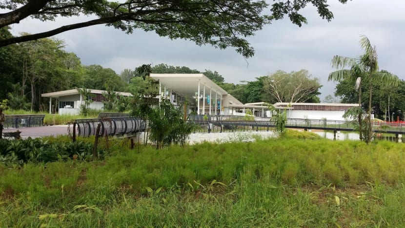 Man and 2-year-old daughter fall into hole in bridge at Sungei Buloh Wetland Reserve; NParks may close some areas if flooding occurs