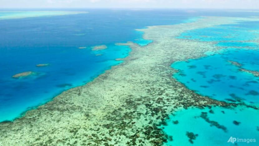 UNESCO chides Australia over Great Barrier Reef proposal UNESCO chides Australia over Great Barrier Reef proposal