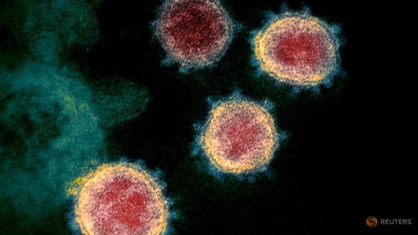 Coronavirus capable of invading brain: Study Coronavirus capable of invading brain: Study