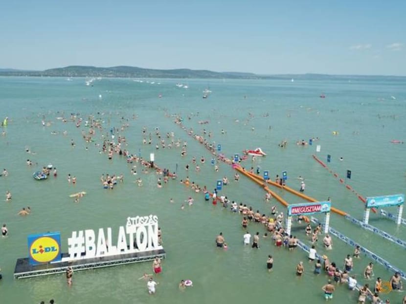 Thousands dive into balmy Lake Balaton in Hungary for swimming contest Thousands dive into balmy Lake Balaton in Hungary for swimming contest