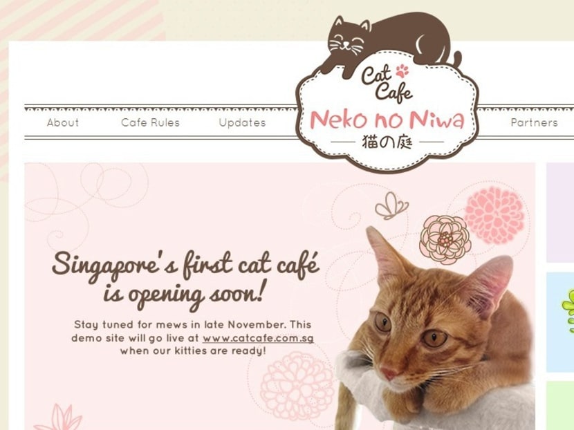 Cat lovers shop cafe