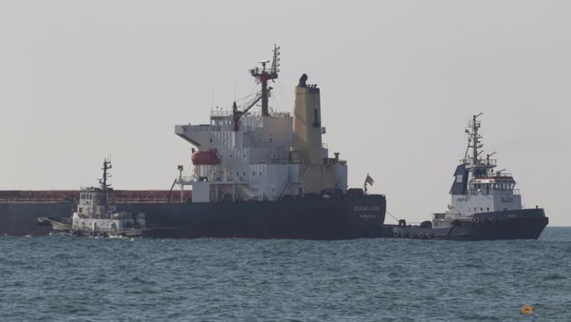 Two more grain ships leave Ukraine, bringing total to 12 under new deal