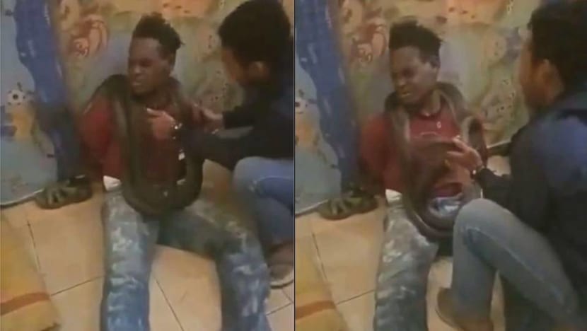Indonesian police apologise for interrogating Papuan man with snake