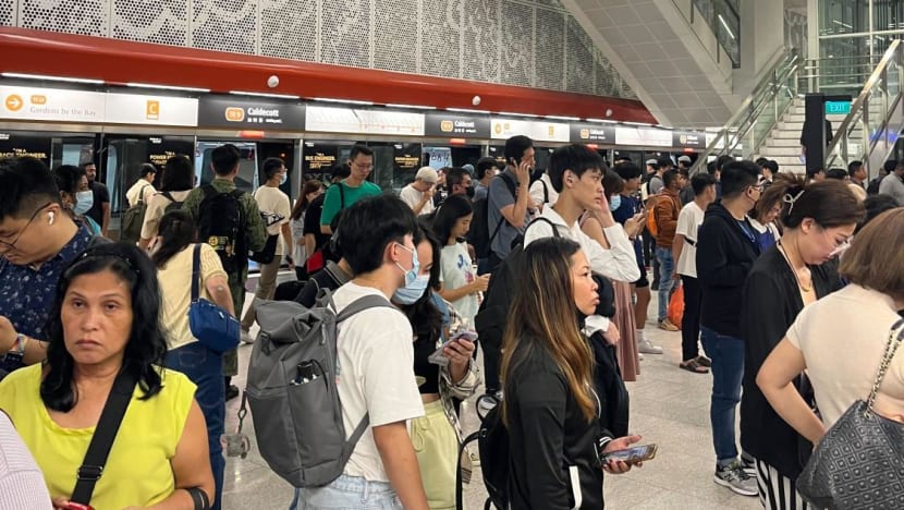 Train fault causes peak-hour delay on Thomson-East Coast MRT line Train fault causes peak-hour delay on Thomson-East Coast MRT line
