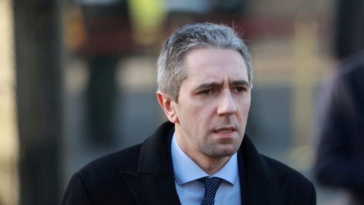 Harris set to be Irish PM-in-waiting as leadership voting closes