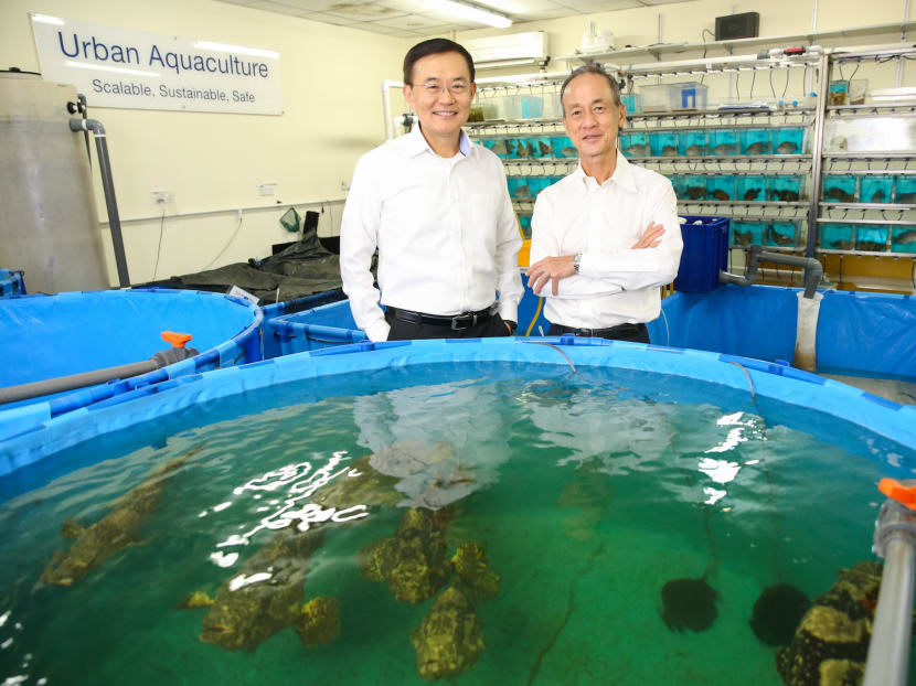 (Left to right) Mr Peter Chia, CEO of Allegro Aqua and Mr Koh Soo Keong, Chairman of Allegro Aqua
