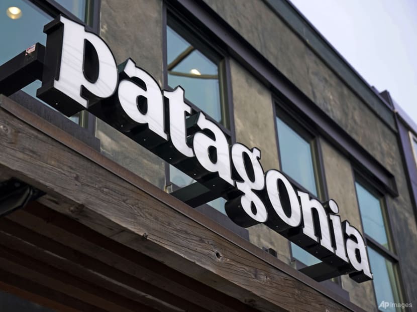 Commentary: Will more follow Patagonia’s bold lead and donate their ...