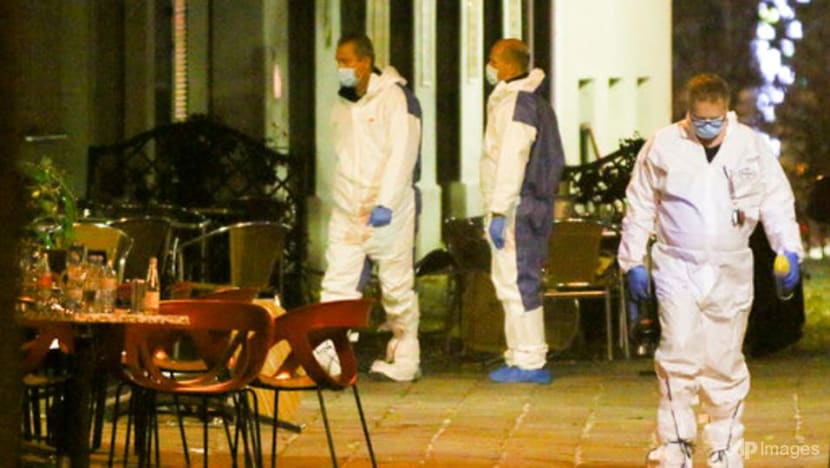 No reports of Singaporeans injured in Vienna terrorist attacks: MFA No reports of Singaporeans injured in Vienna terrorist attacks: MFA