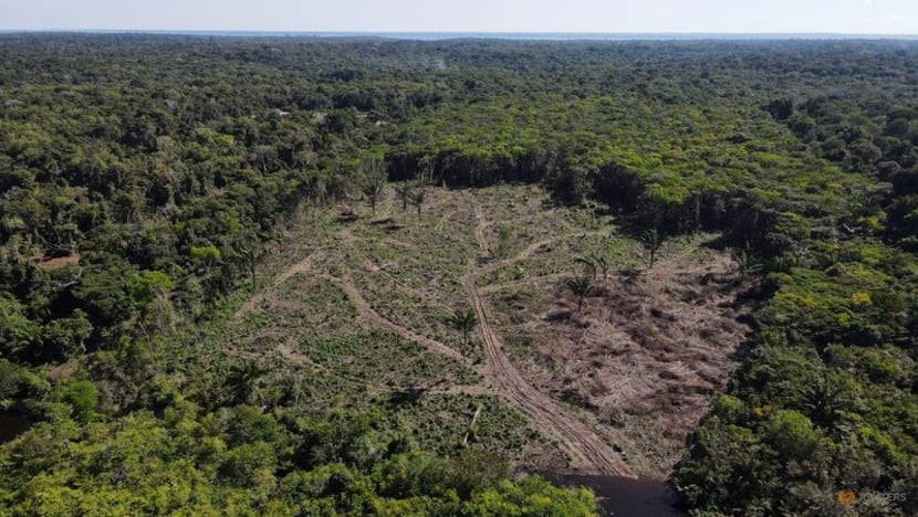Deforestation in Brazil's Amazon hits record for first half of 2022 Deforestation in Brazil's Amazon hits record for first half of 2022