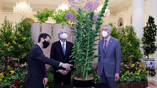 新品种胡姬花以马国首相名字命名