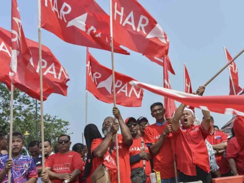 PH supporters during the Tanjung Piai poll, which saw the ruling coalition suffer its largest by-election defeat since coming to power.