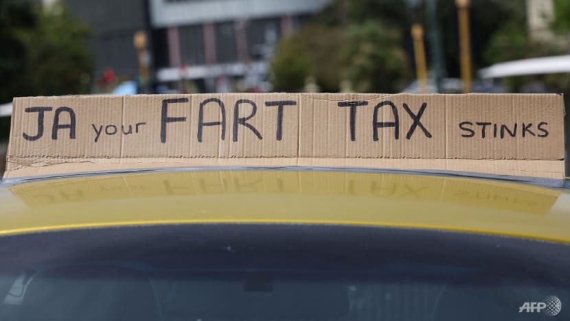 New Zealand farmers protest livestock 'burp and fart' tax New Zealand farmers protest livestock 'burp and fart' tax