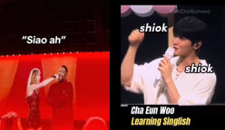 Commentary: Is Singlish going global?