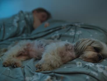 New research suggests that most people are unaware of the potential negative effects their pets may have on their sleep.
