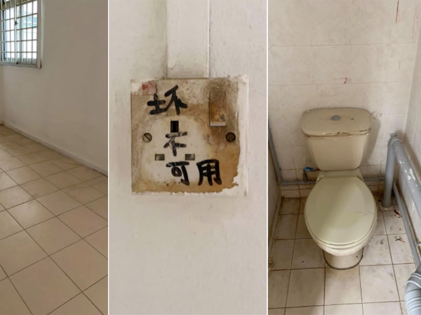 In her post on Thursday, Ms Felicia Ong recounted her shock at the state of the flat. The flat looked "like a horror movie scene", she wrote. In her post on Thursday, Ms Felicia Ong recounted her shock at the state of the flat. The flat looked "like a horror movie scene", she wrote.