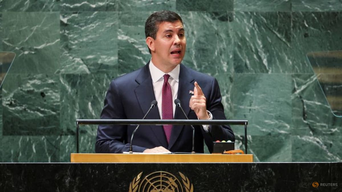 Presiden Paraguay bermaksud menghentikan perundingan Mercosur-UE jika kesepakatan tidak tercapai pada bulan Desember