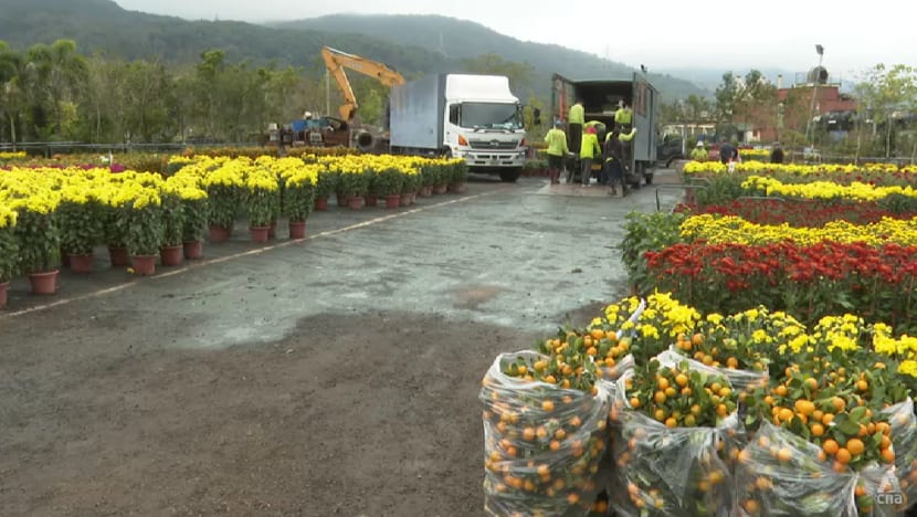 Peach blossoms, tangerine trees in demand as Hong Kong celebrates Chinese New Year with few COVID-19 restrictions