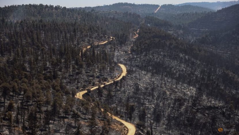 Wildfires outside Jerusalem contained, Israeli fire brigade says Wildfires outside Jerusalem contained, Israeli fire brigade says