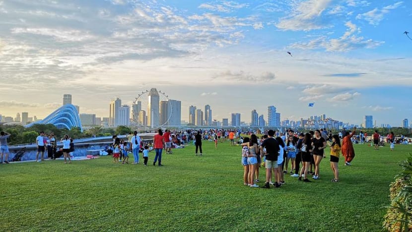Green Plan not a 'compilation of existing initiatives' but long-term plan that will evolve: Grace Fu Green Plan not a 'compilation of existing initiatives' but long-term plan that will evolve: Grace Fu