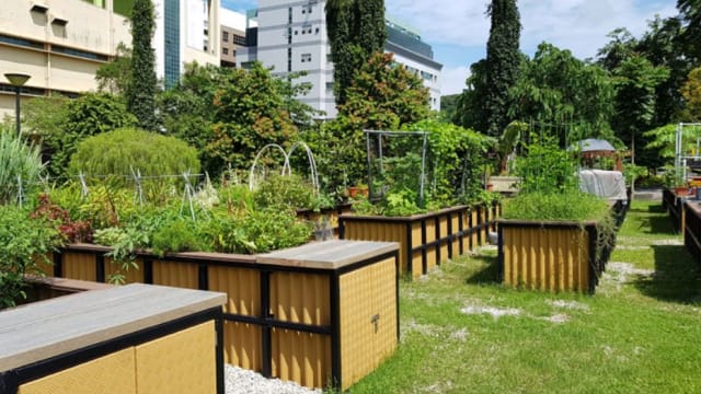 园艺爱好者可上网申请租用四座花园的花床