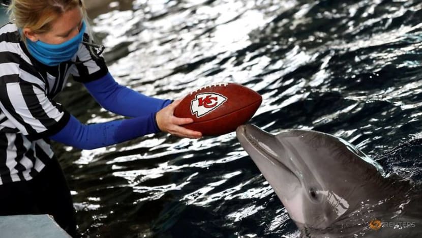 'Hoping and praying': Tampa eyes Super Bowl windfall despite COVID-19 crunch 'Hoping and praying': Tampa eyes Super Bowl windfall despite COVID-19 crunch