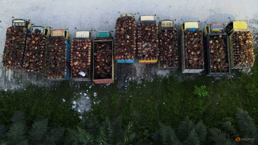 Malaysia palm oil production, exports to rise 30% by end-2022: Minister Malaysia palm oil production, exports to rise 30% by end-2022: Minister