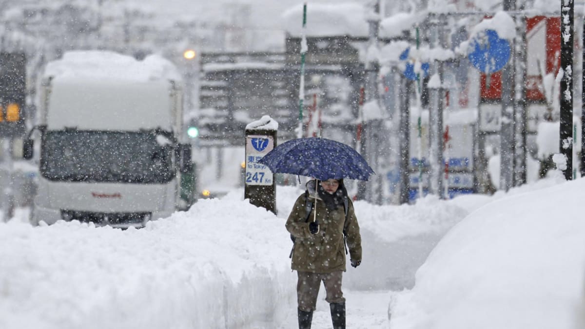 Heavy snow in Japan causes blackouts in Hokkaido, flight cancellations