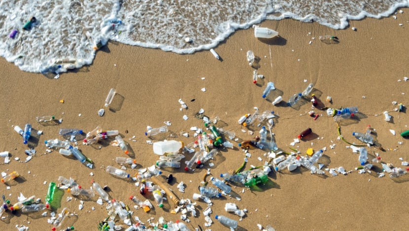 Singapore launches national strategy aimed at combatting marine litter Singapore launches national strategy aimed at combatting marine litter