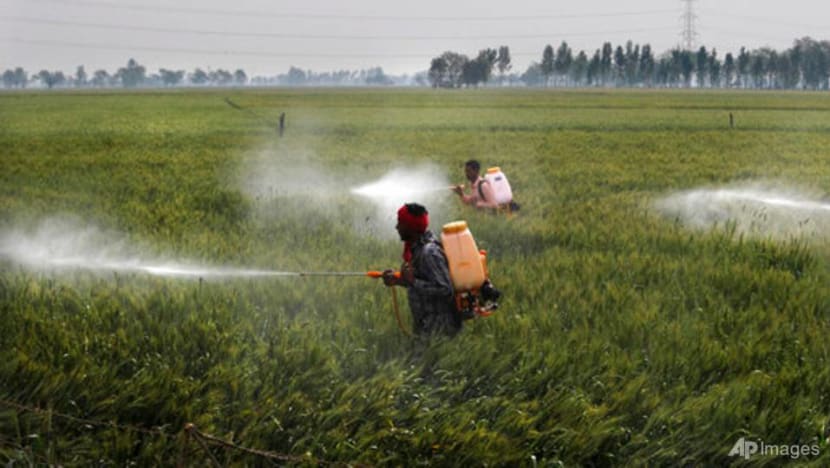 India's deepening water crisis at the heart of farm protests India's deepening water crisis at the heart of farm protests