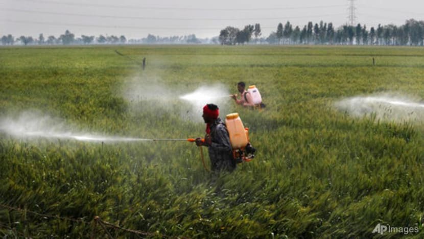 India's deepening water crisis at the heart of farm protests