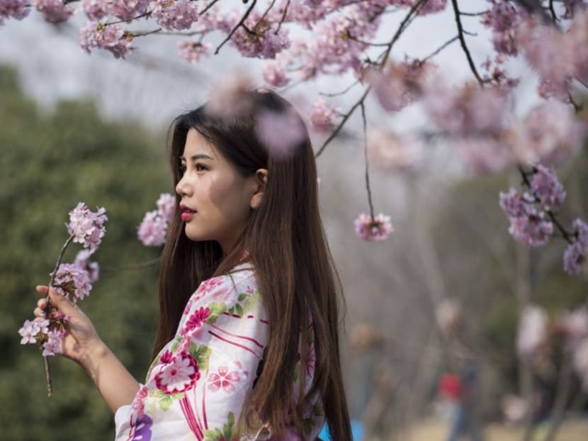 China’s largest peach blossom field now in bloom