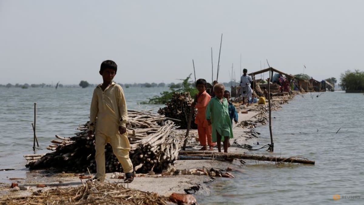 pakistanis-throw-up-barriers-against-rising-floodwaters-12-more-die