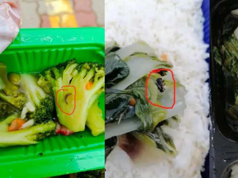 In photos shared on online chat and social media platform Weixin, migrant workers from Westlite Jalan Tukang dormitory said that they found insects in their catered food.