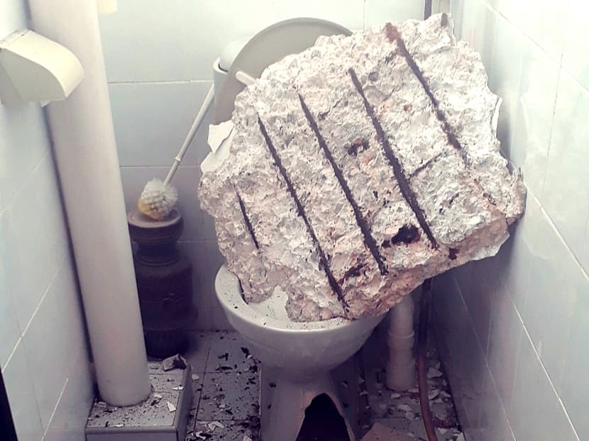Mr Alan Fu estimated that the fallen piece of concrete in his father’s flat must have weighed around 10kg and measured about half a metre in length. Mr Alan Fu estimated that the fallen piece of concrete in his father’s flat must have weighed around 10kg and measured about half a metre in length.