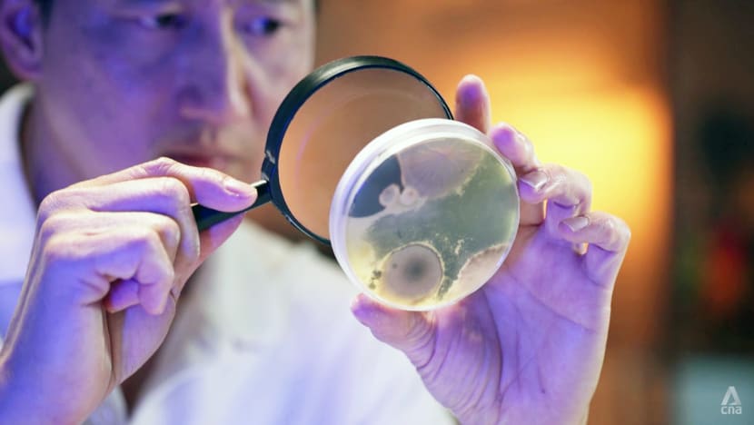 Got a mould problem? Here’s what you should know to get rid of it Got a mould problem? Here’s what you should know to get rid of it