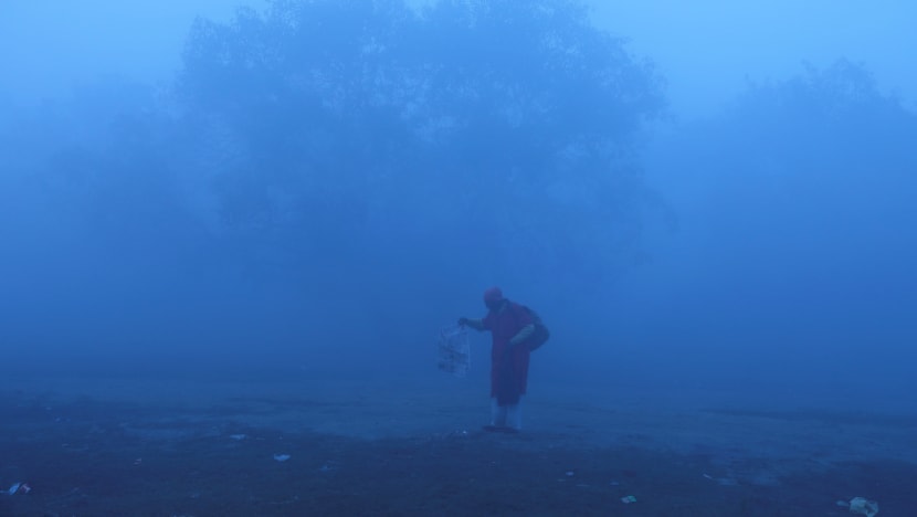 New Delhi lifts ban on construction as air quality improves marginally New Delhi lifts ban on construction as air quality improves marginally