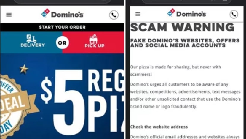 fake dominos pizza websites