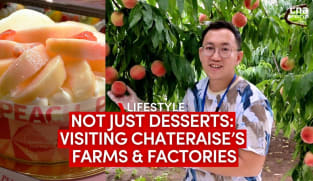 Where do Chateraise’s desserts come from? We went behind the scenes in Japan | CNA Lifestyle