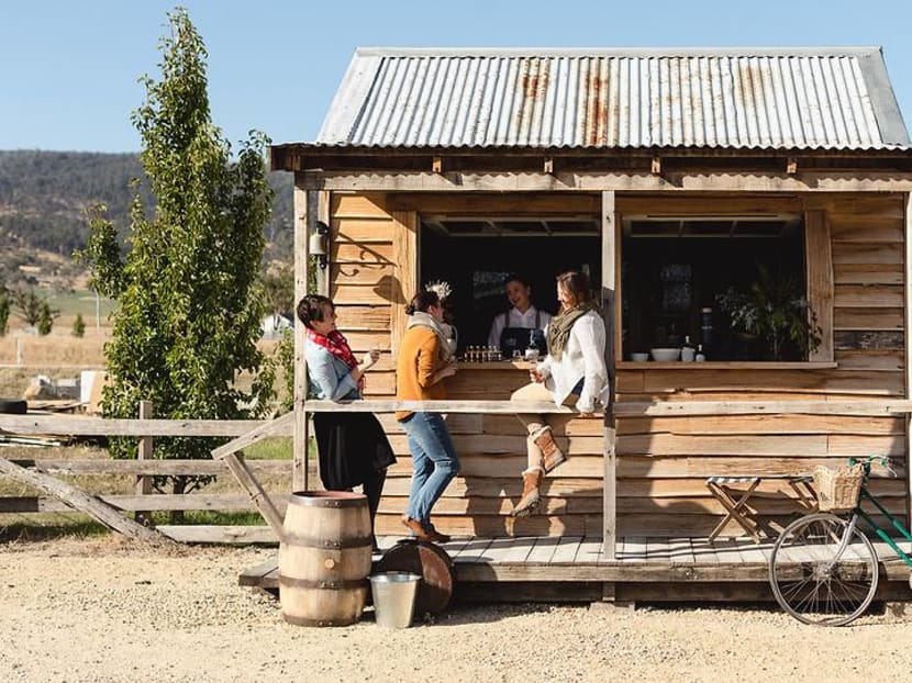 Penguins at night and tipples in the day: This is Australia’s whisky capital